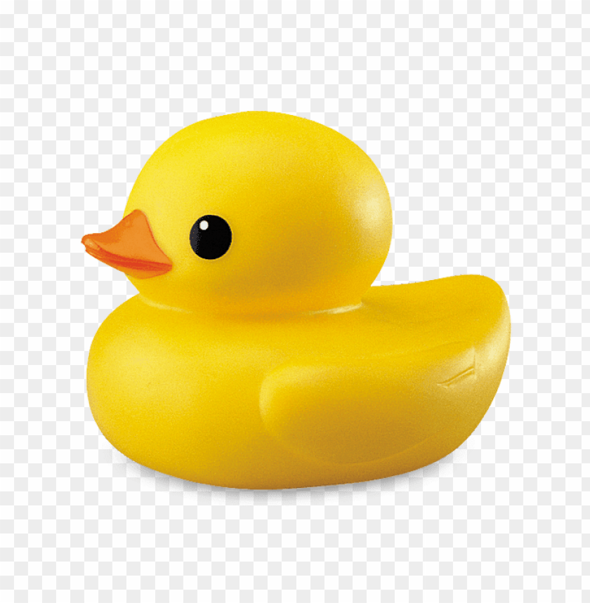 animals, ducks, plastic duck, 