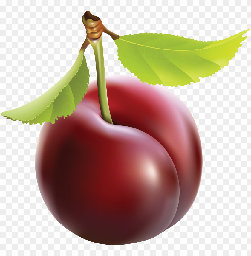 
plum
, 
genus prunus
, 
peaches
, 
cherries
, 
bird cherries
