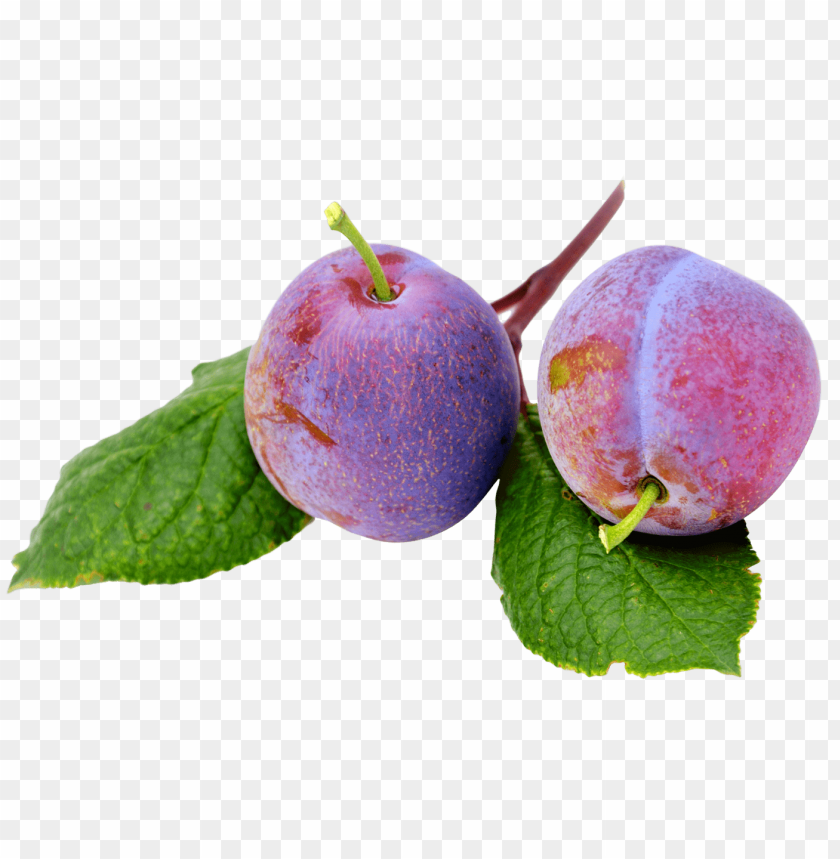 
fruits
, 
plum
