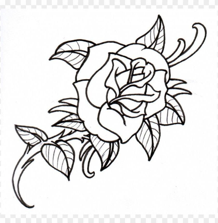 Download Png Rose Outline S Clipart Png Photo  