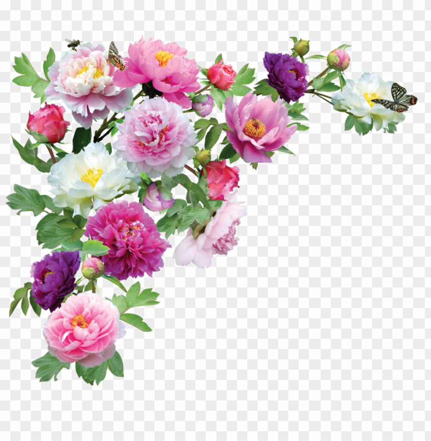 png transparent flowers, flower,flowers,transparent,png,transpar