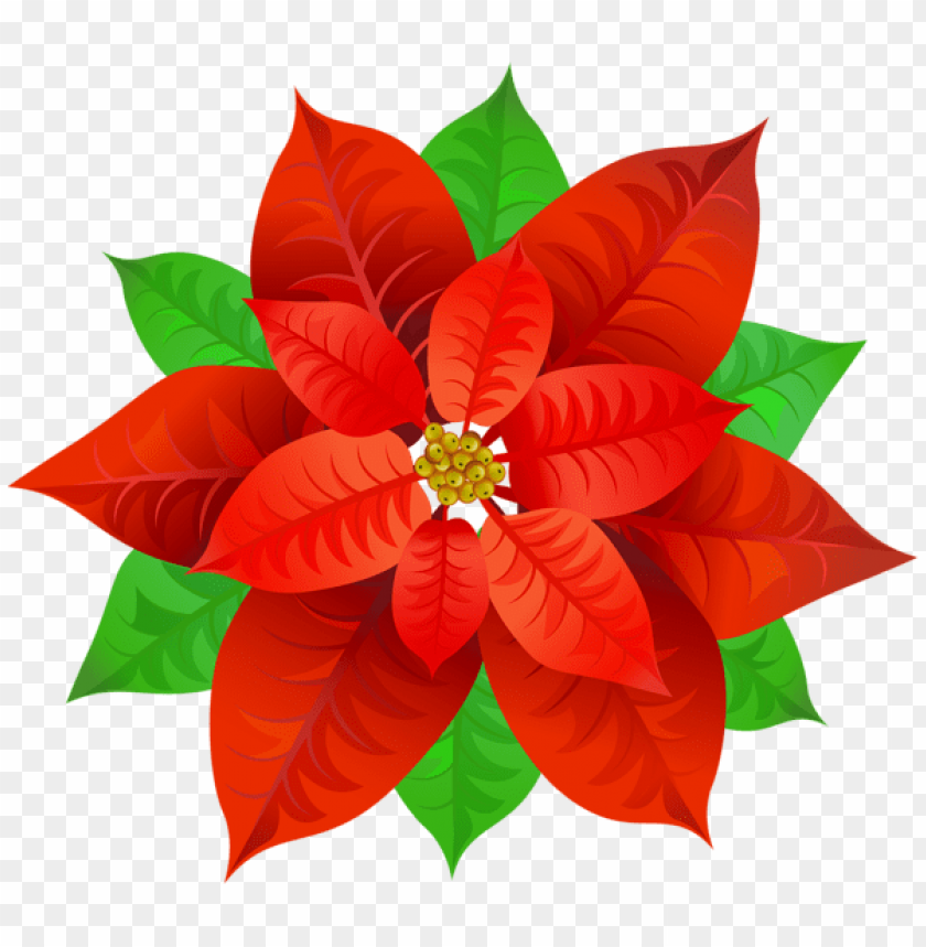 poinsettia png images toppng toppng