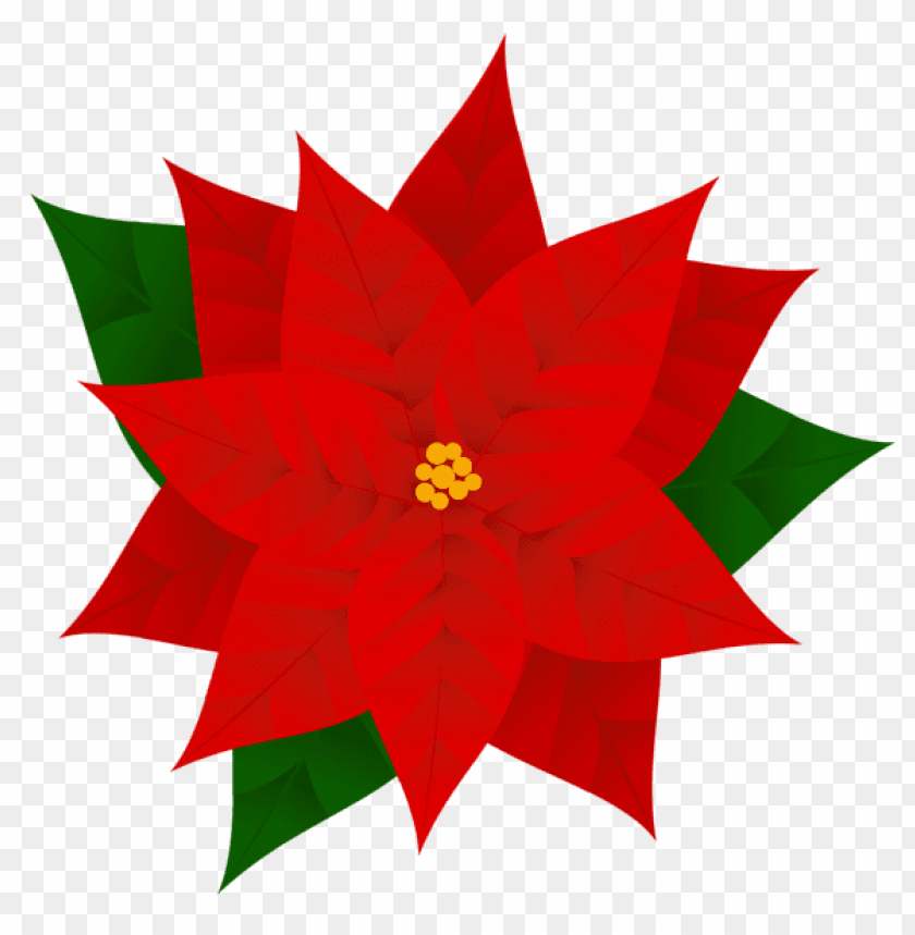 poinsettia PNG Images 40037