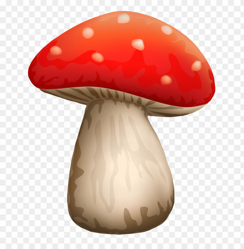 dots, mushroom, poisonous, red, white, with
