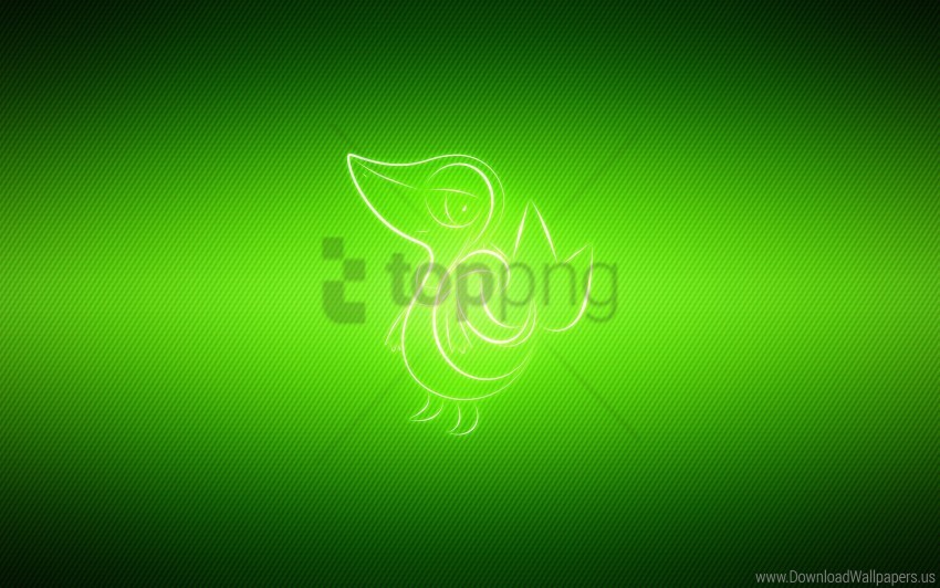 pokemon poultry snivy wallpaper background best stock photos - Image ID 145215