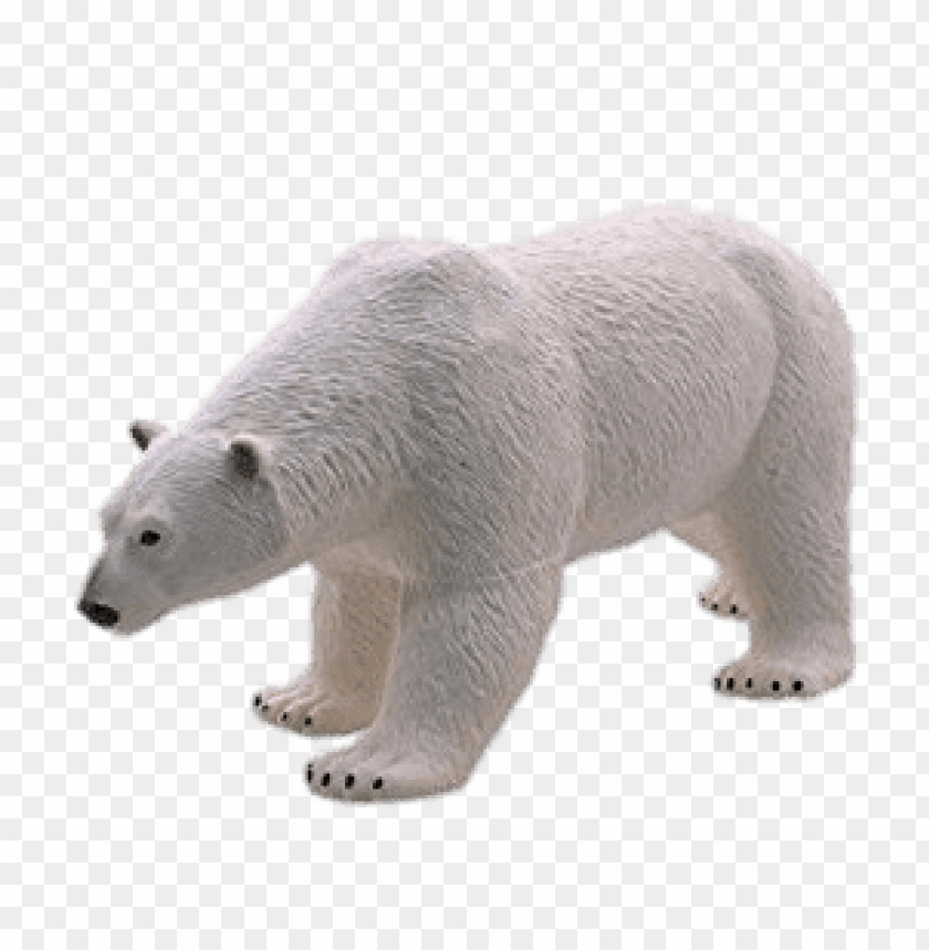 Polar Bear Plastic Model Png Images Background - Image ID 65933