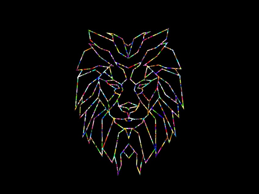 polygon, lion, colorful, black