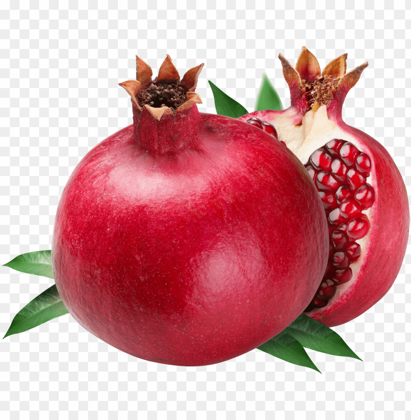 
pomegranate
, 
punica granatum
, 
fruit-bearing
, 
shrub
