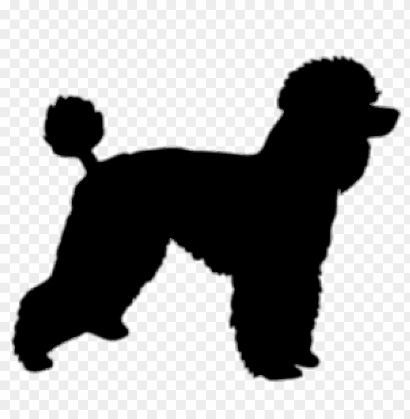 animals, poodles, poodle silhouette, 