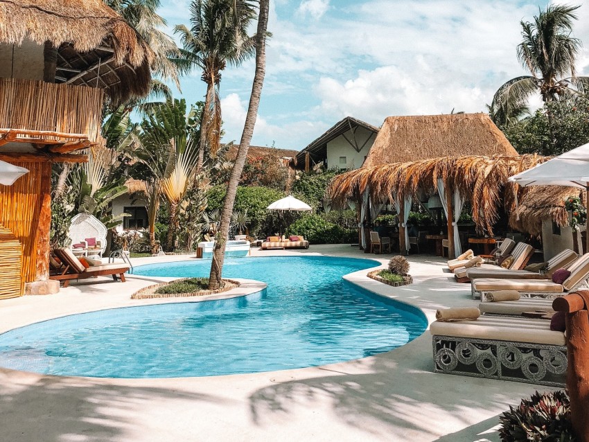 pool, palm trees, rest, summer, tropics