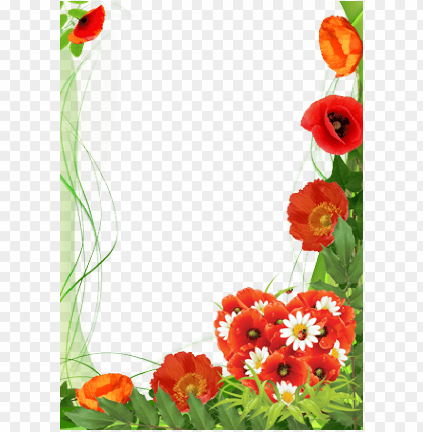 poppies color of love - mother's day  frames, mother day