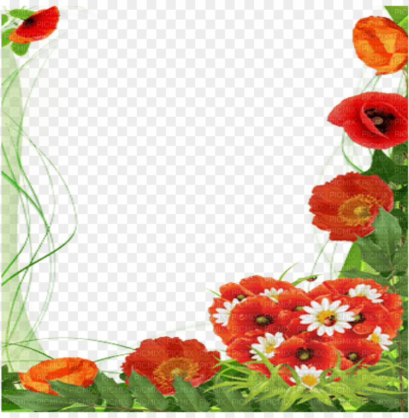 poppy flower frame - mother's day  frames, mother day