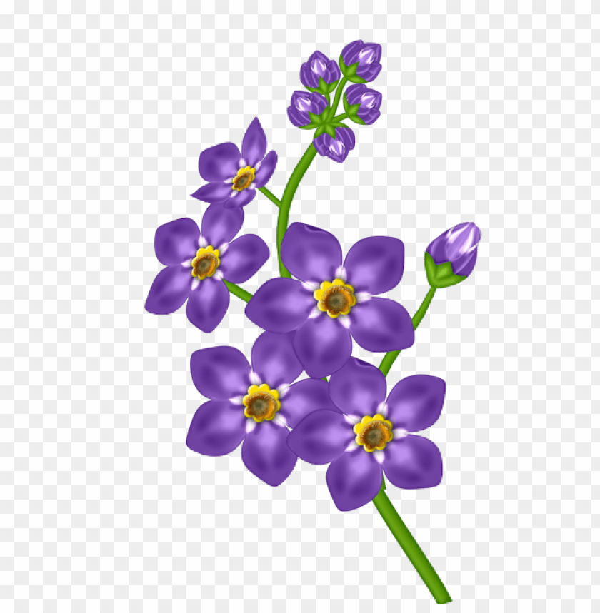 PNG image of porple flower transparent with a clear background - Image ID 43644