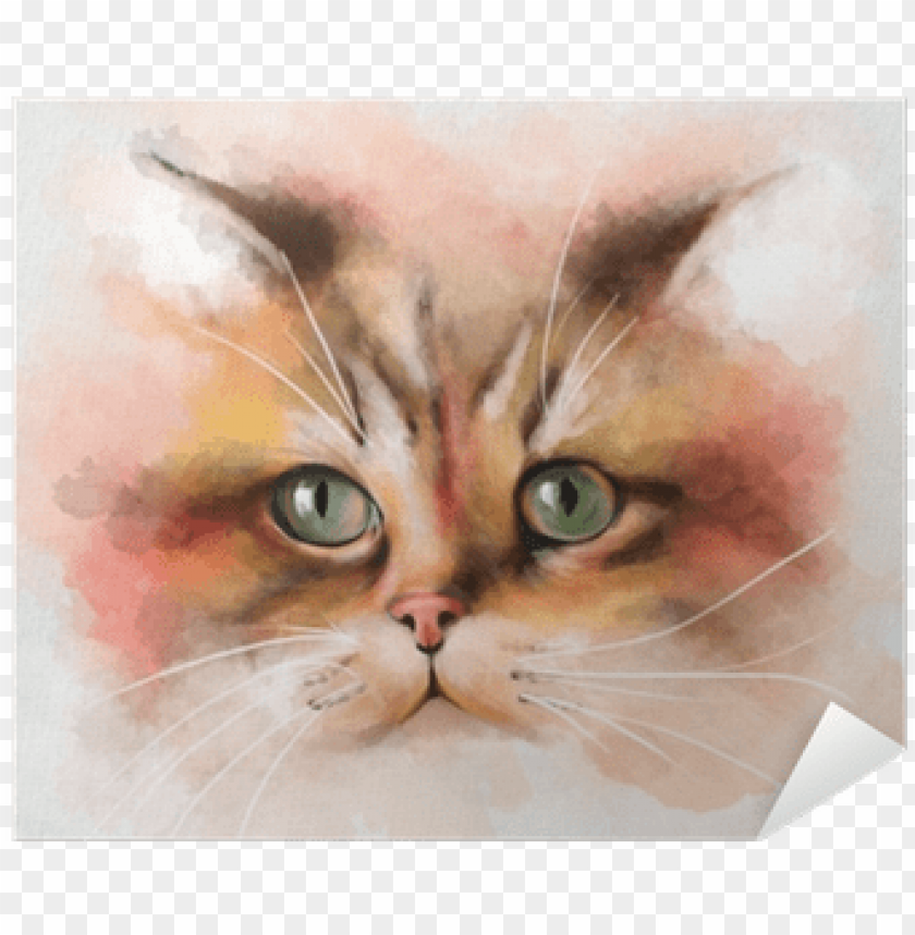 cat face, cat eyes, flying cat, cat vector, cat paw, cat paw print