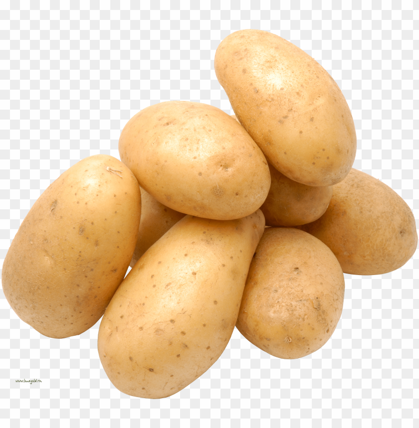 
potato
, 
tuberous crop
, 
plant
, 
food
, 
calories
