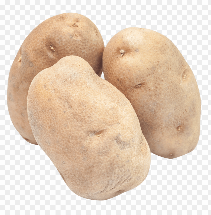 Potato PNG Images With Transparent Backgrounds - Image ID 11947