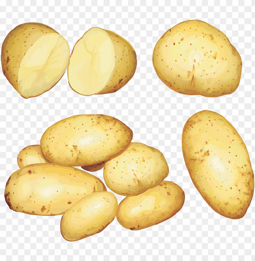 Potato PNG Images With Transparent Backgrounds - Image ID 12791