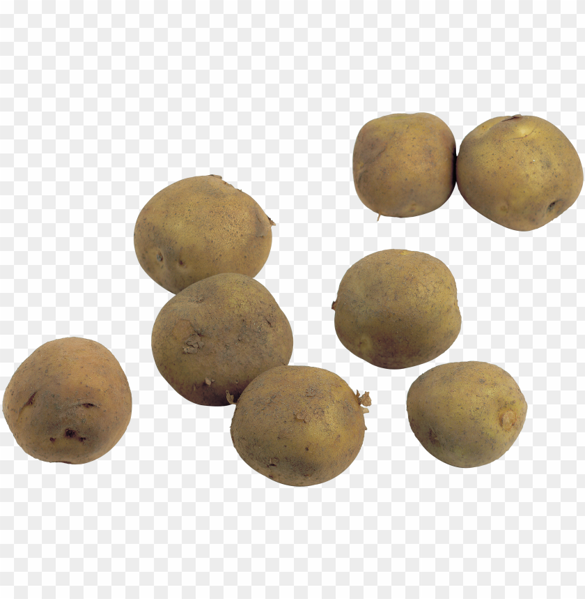 Download Potato Png Images Background