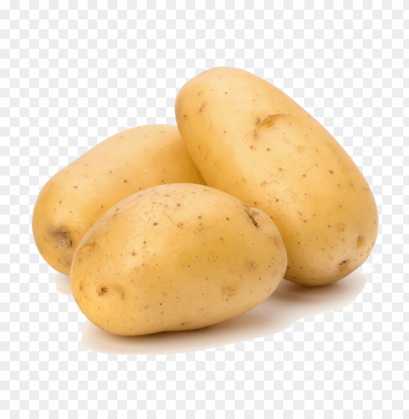 
potato
, 
food crops
, 
vegetable
, 
potato's
