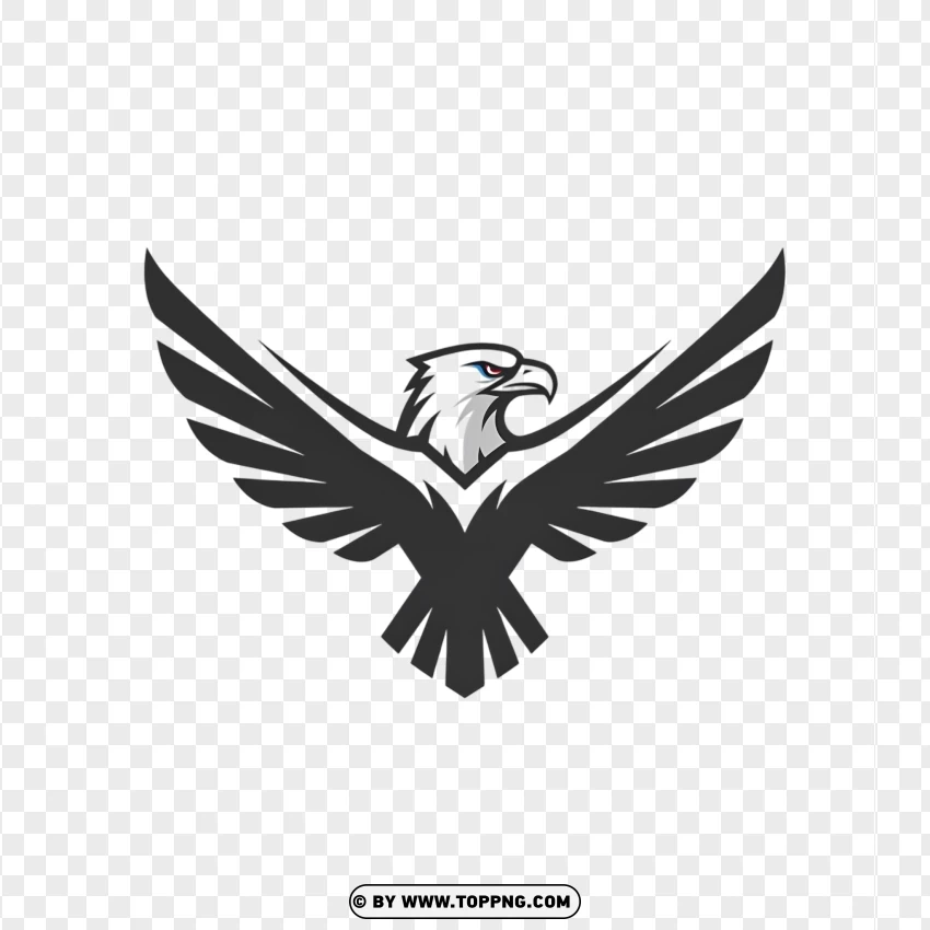 A professional flat vector icon Black of an eagle's head facing forward, suitable for an app or website.