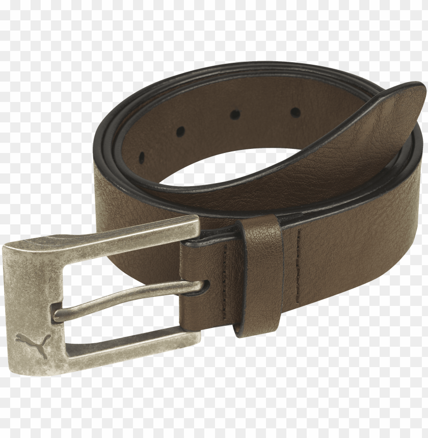 
belt
, 
leather
, 
buckles
, 
simple
, 
puma
