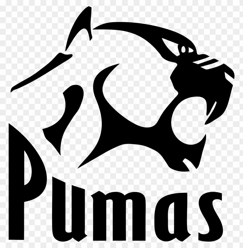 sports, rugby teams south africa, pumas rugby logo, 