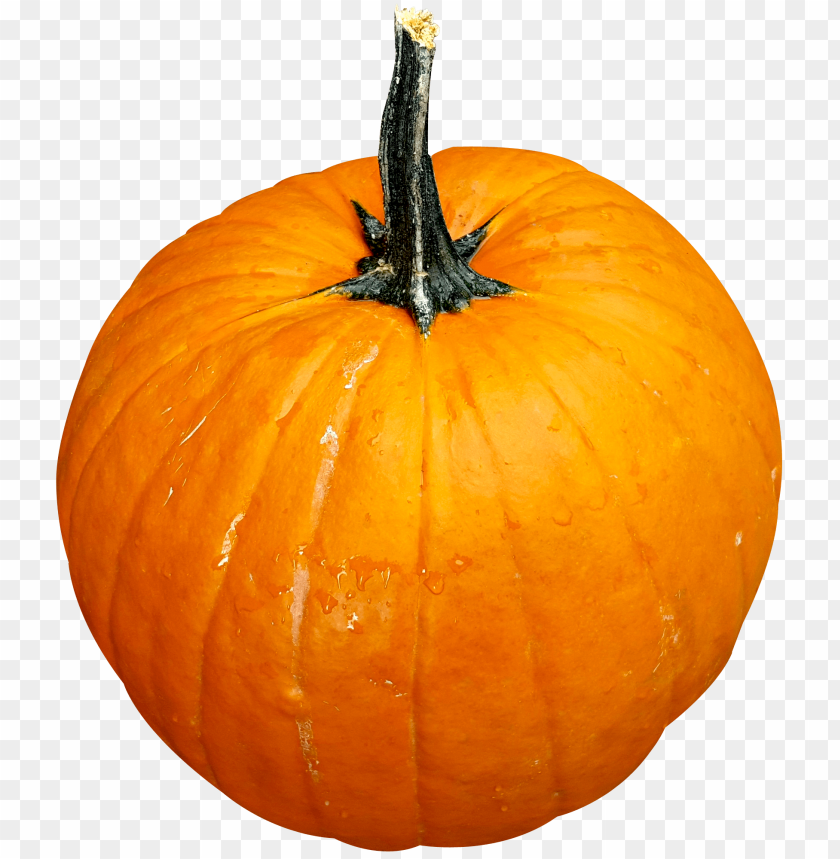 pumpkin png - Free PNG Images ID 5675