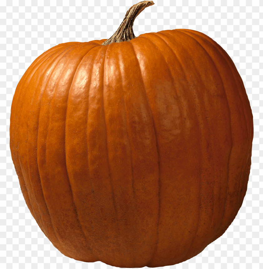 pumpkin PNG images with transparent backgrounds - Image ID 11173