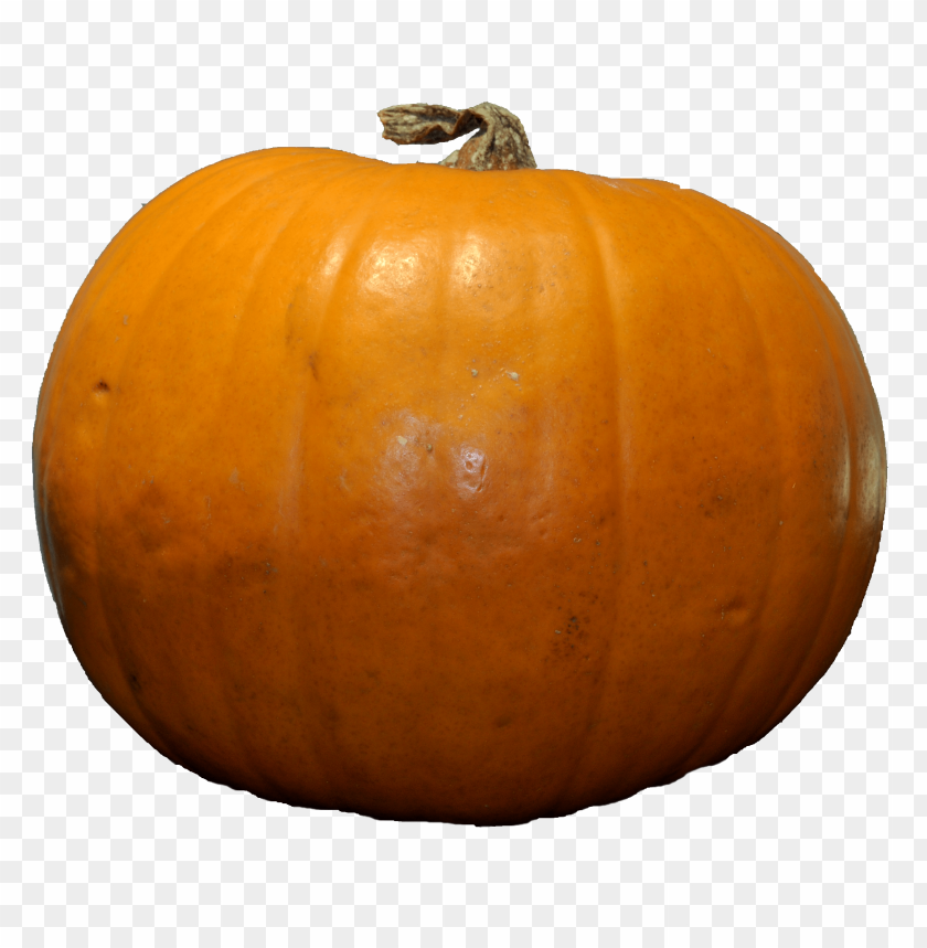 pumpkin PNG images with transparent backgrounds - Image ID 11185