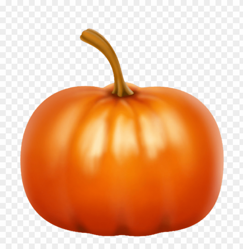 
pumpkin
, 
vegetable
, 
food
, 
rounded
, 
fruit
, 
pumpkins
