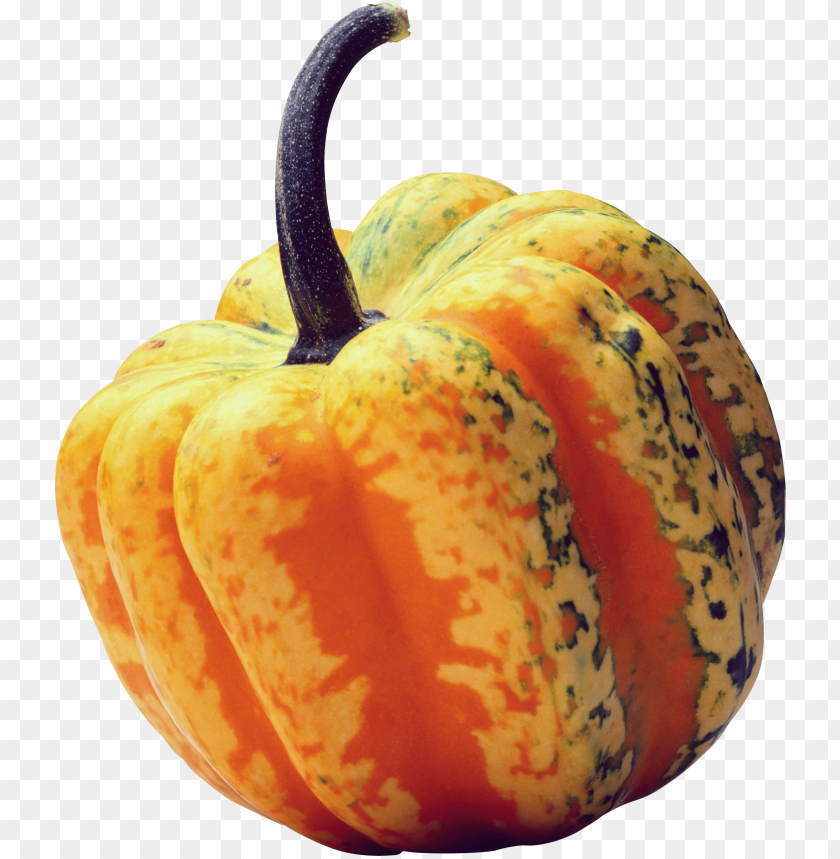pumpkin PNG images with transparent backgrounds - Image ID 11191