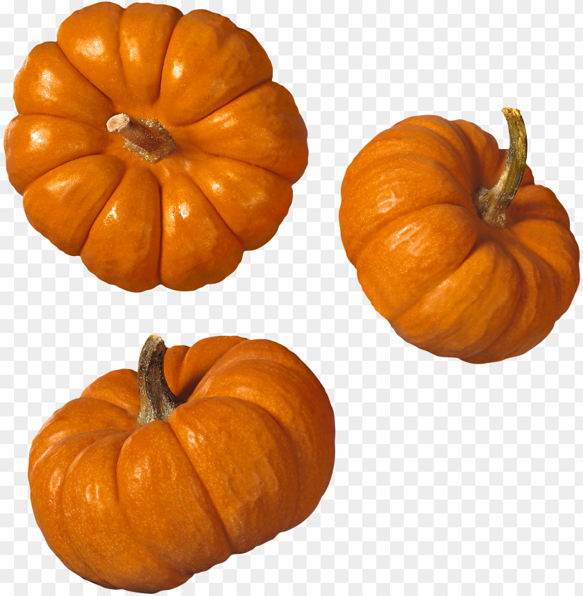 pumpkin PNG images with transparent backgrounds - Image ID 11199