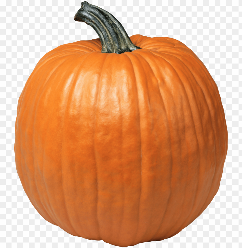 pumpkin PNG images with transparent backgrounds - Image ID 11201