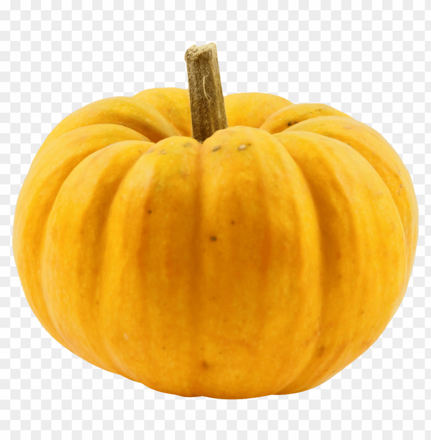 pumpkin PNG images with transparent backgrounds - Image ID 11952