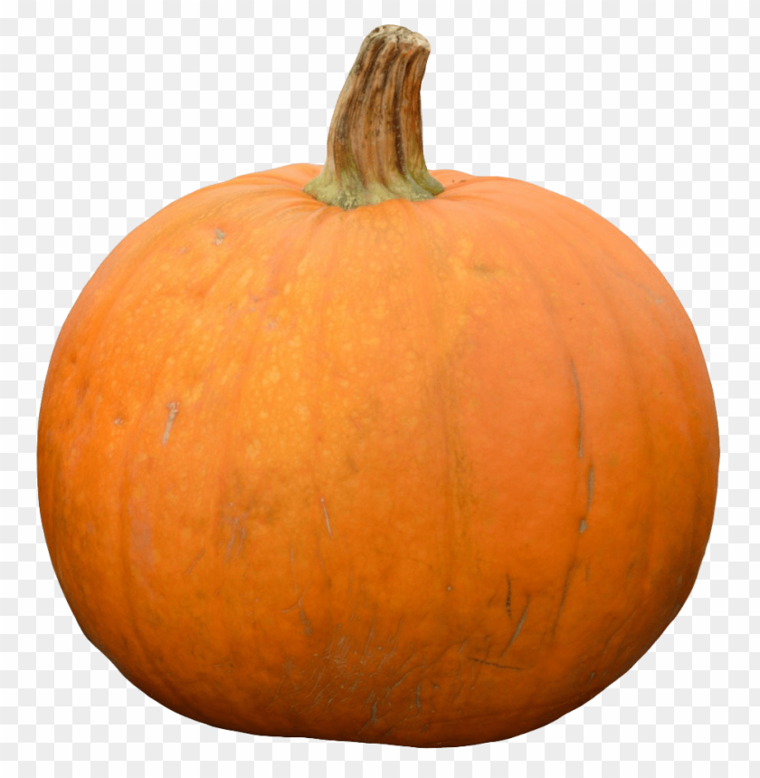 pumpkin PNG images with transparent backgrounds - Image ID 11961