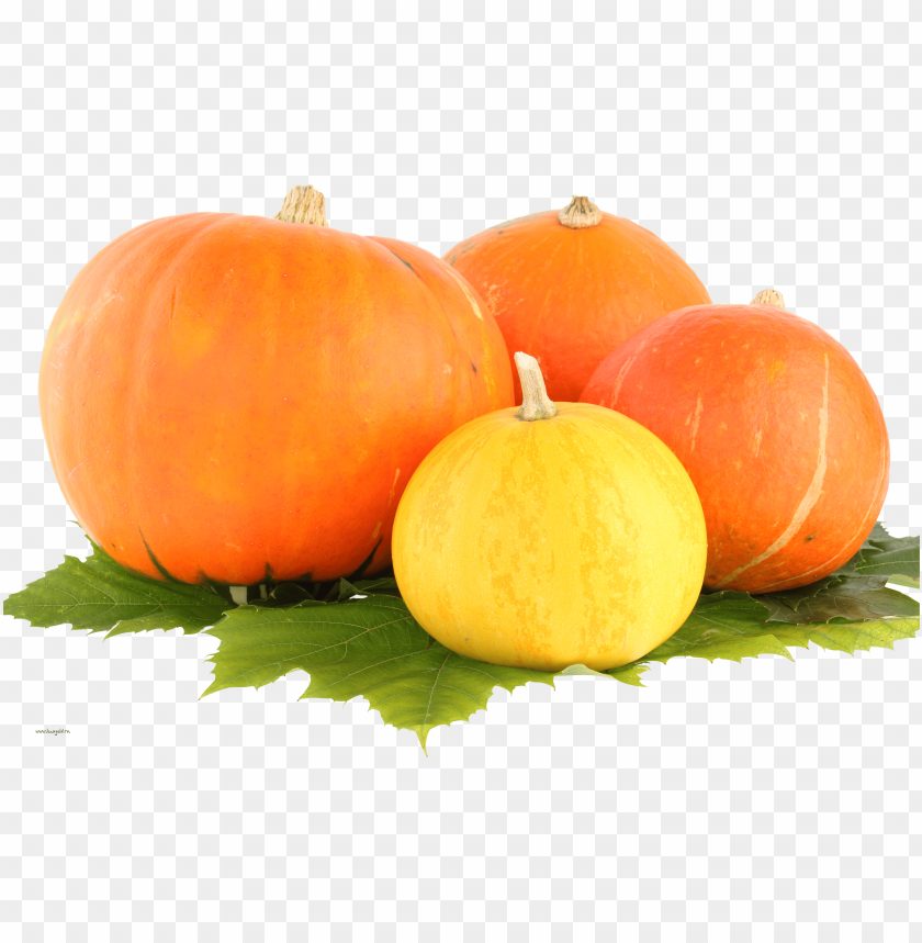pumpkin PNG images with transparent backgrounds - Image ID 13776