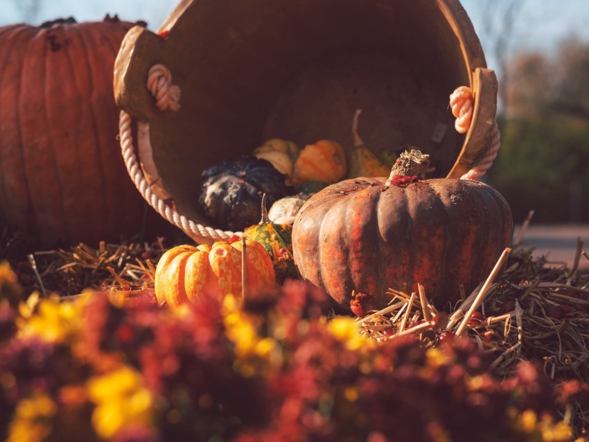 pumpkin, basket, straw, autumn, harvest