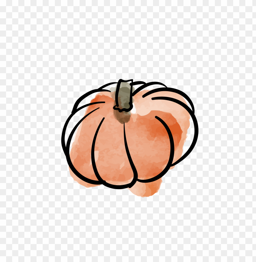 Pumpkin Fruit Watercolor Drawing Clipart PNG Image With Transparent Background