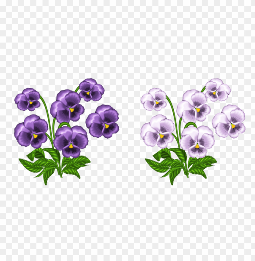 flowers png, spring png, flower png, white flower, purple flower