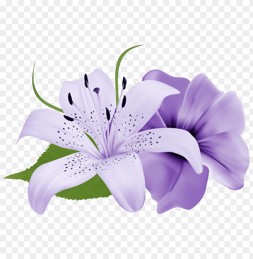 deco, flowers, purple