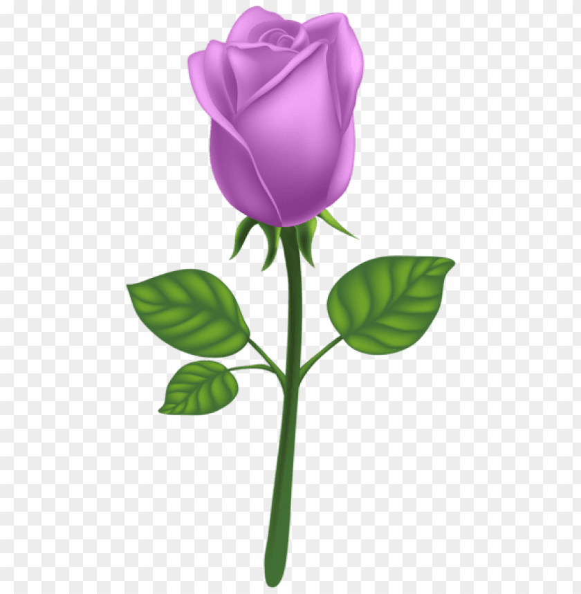 purple deco rose