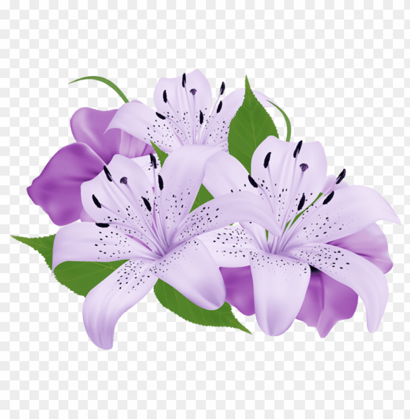 purple exotic flowers