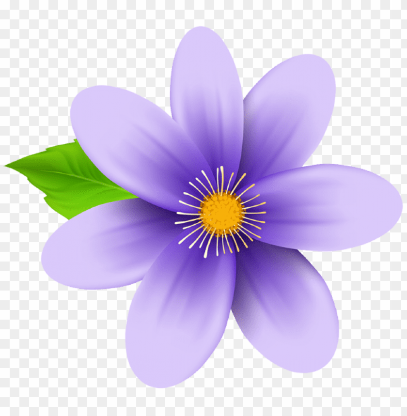 Hơn 500 Transparent background purple flower clipart Tuyệt đẹp, miễn phí  tải về ngay