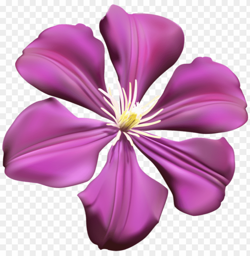 PNG image of purple flower transparent with a clear background - Image ID 43960