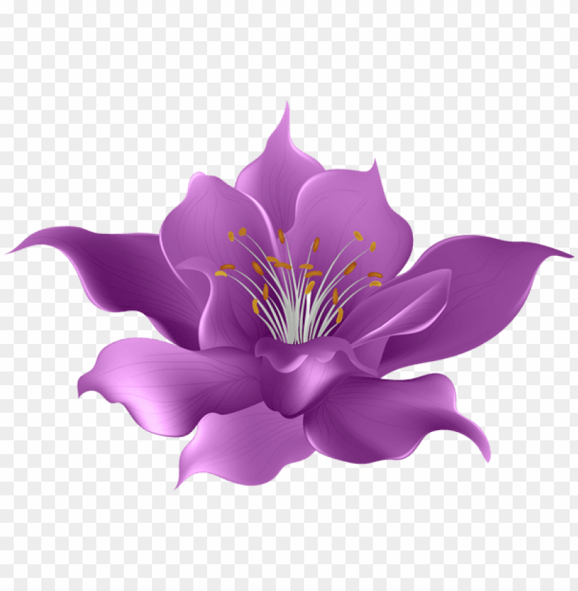 purple flower transparent