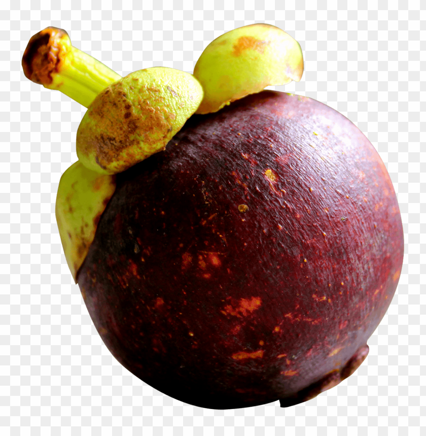  fruits, purple mangosteen related images