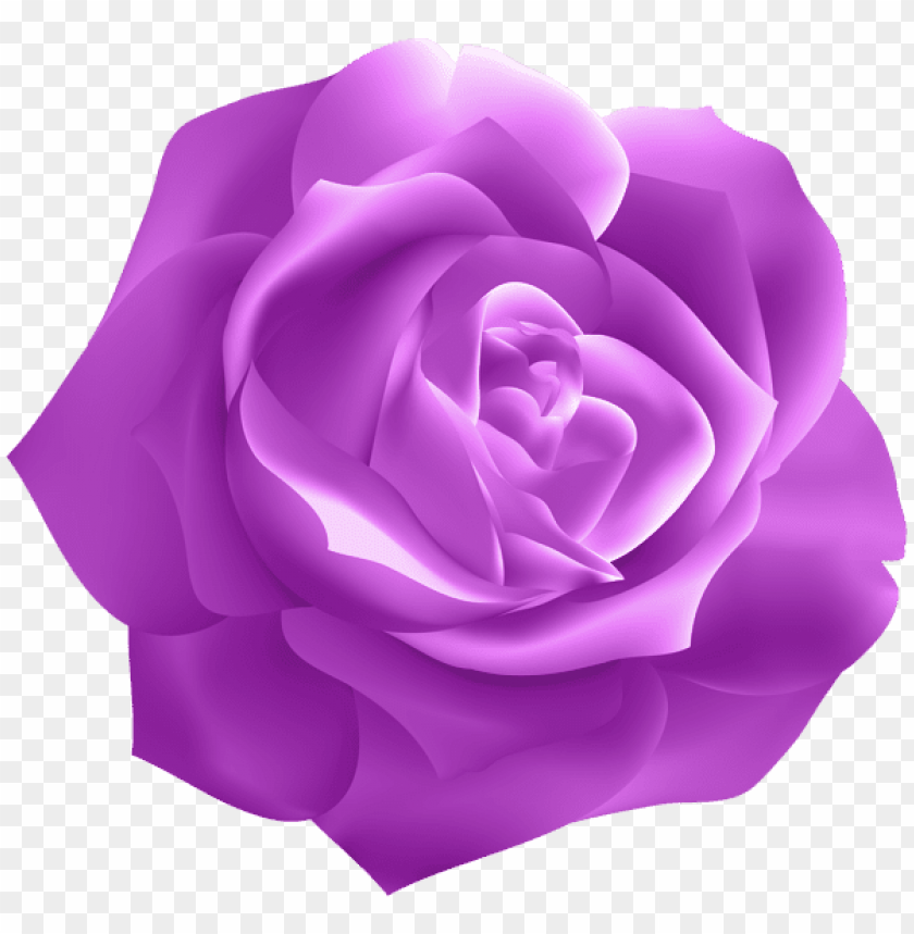 purple rose deco