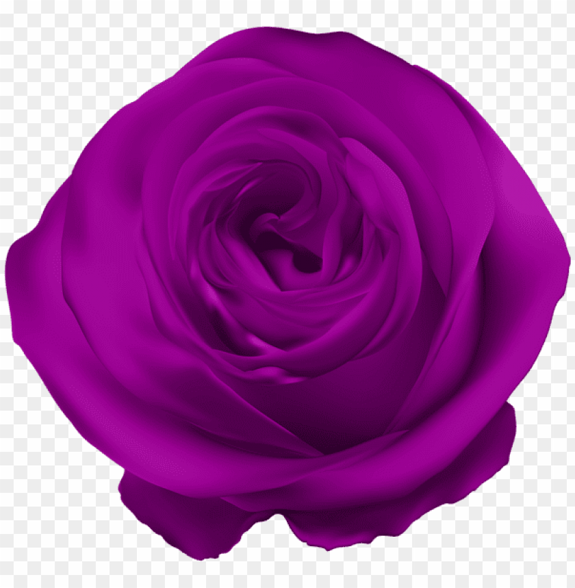 PNG image of purple rose png with a clear background - Image ID 44243