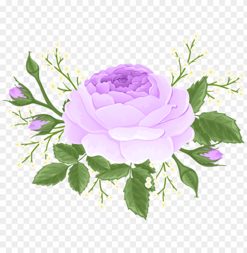purple rose with white flowers