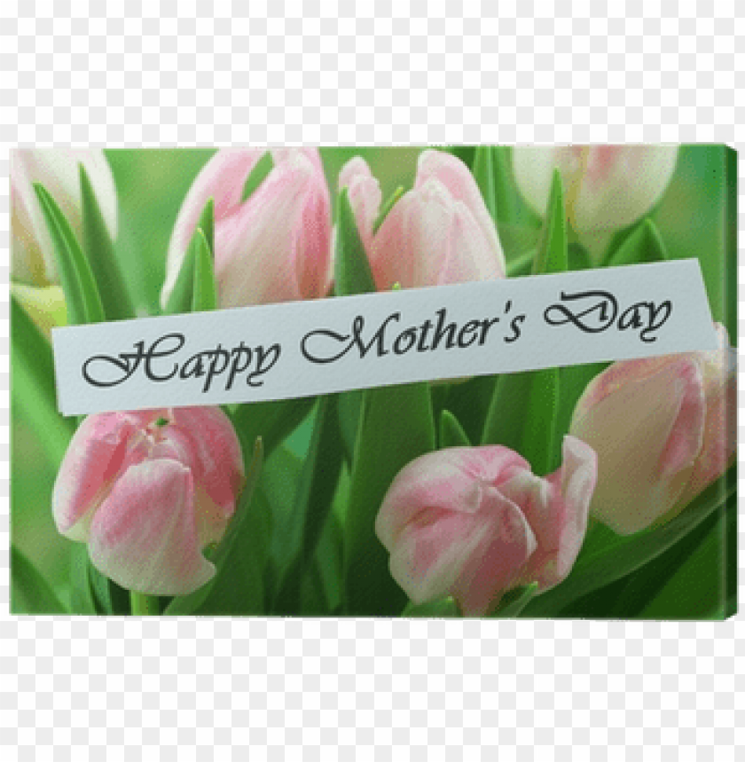 quadro su tela scheda felice festa della mamma con - mother's day, mother day